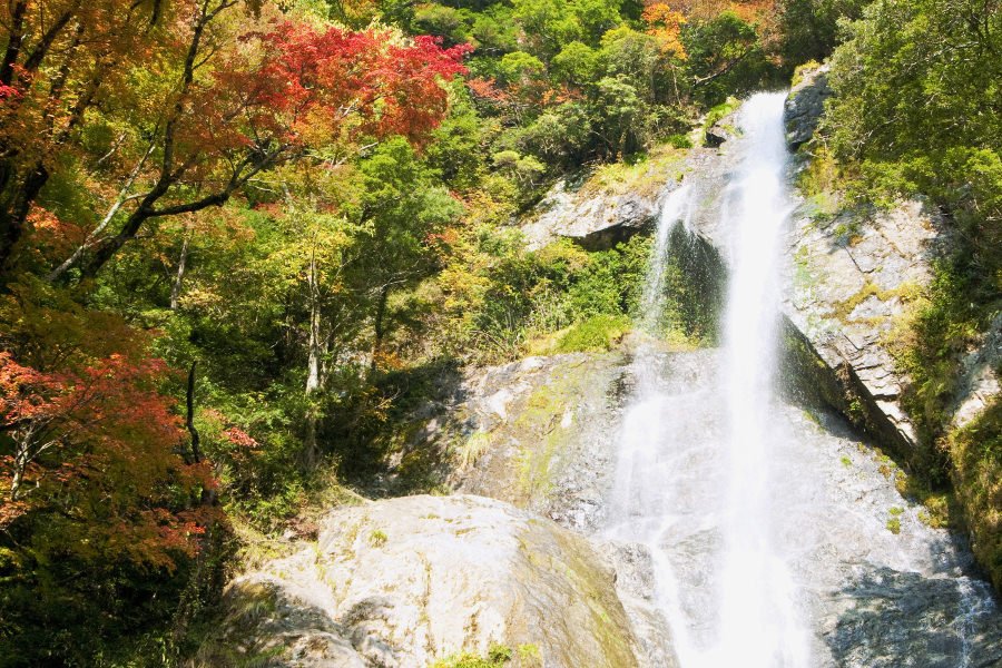 🏞️ 센단토도로 폭포(栴壇轟の滝) 이미지 1